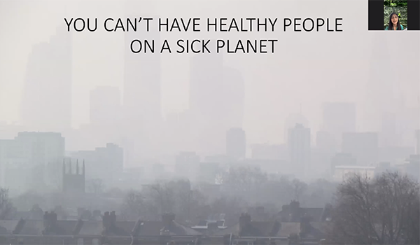 Health Systems: You can't have Healthy People on a Sick Planet